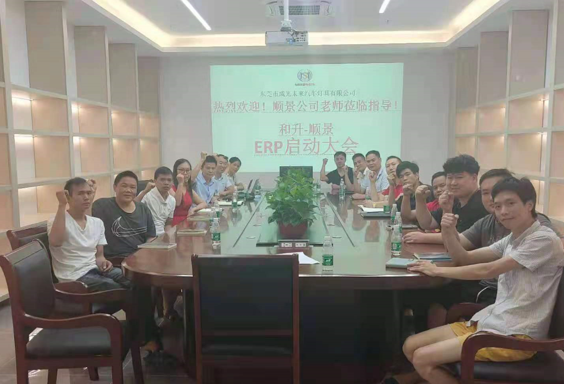 承前启后，智造先行!和升汽车照明公司携手开云手机网(中国)官方网站软件打造数智管理